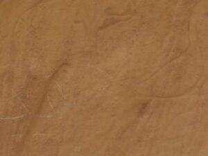 57564730_1208013112710773_1608210608035987456_n